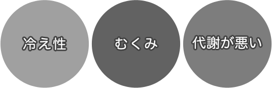 詳しくは、下記各店のボタンをクリックしてご覧ください。
