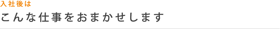 入社後はこんな仕事をおまかせします