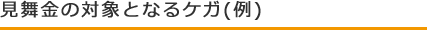 見舞金の対象となるケガ(例)