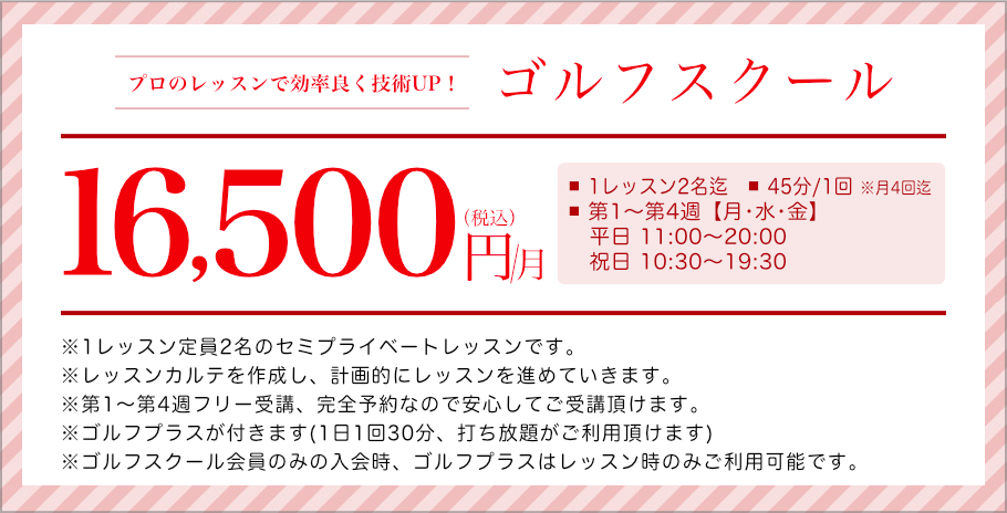 ゴルフスクール プロのレッスンで効率良く技術UP！